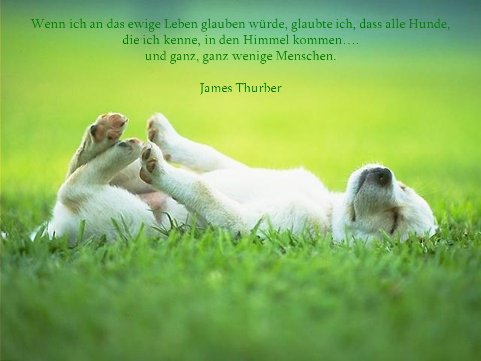 die ich kenne, in den Himmel kommen…. und ganz, ganz wenige Menschen.