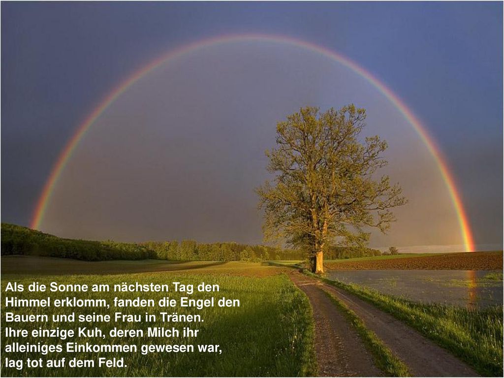 Als die Sonne am nächsten Tag den Himmel erklomm, fanden die Engel den Bauern und seine Frau in Tränen.