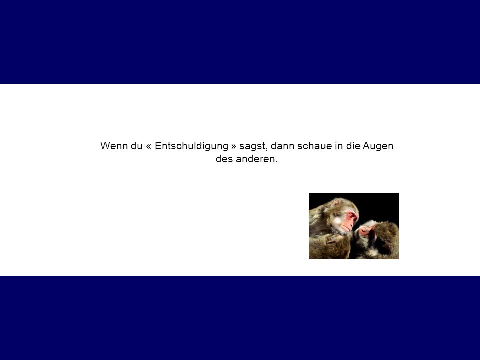Wenn du « Entschuldigung » sagst, dann schaue in die Augen des anderen.