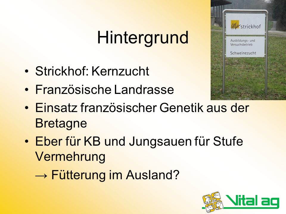 Hintergrund Strickhof: Kernzucht Französische Landrasse