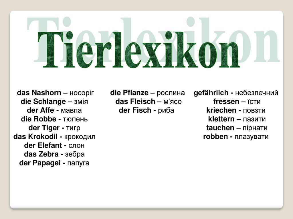 Tierlexikon das Nashorn – носоріг die Schlange – змія der Affe - мавпа