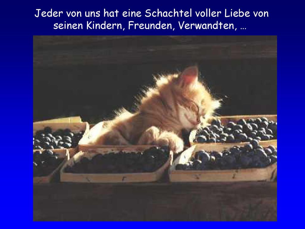 Jeder von uns hat eine Schachtel voller Liebe von seinen Kindern, Freunden, Verwandten, …