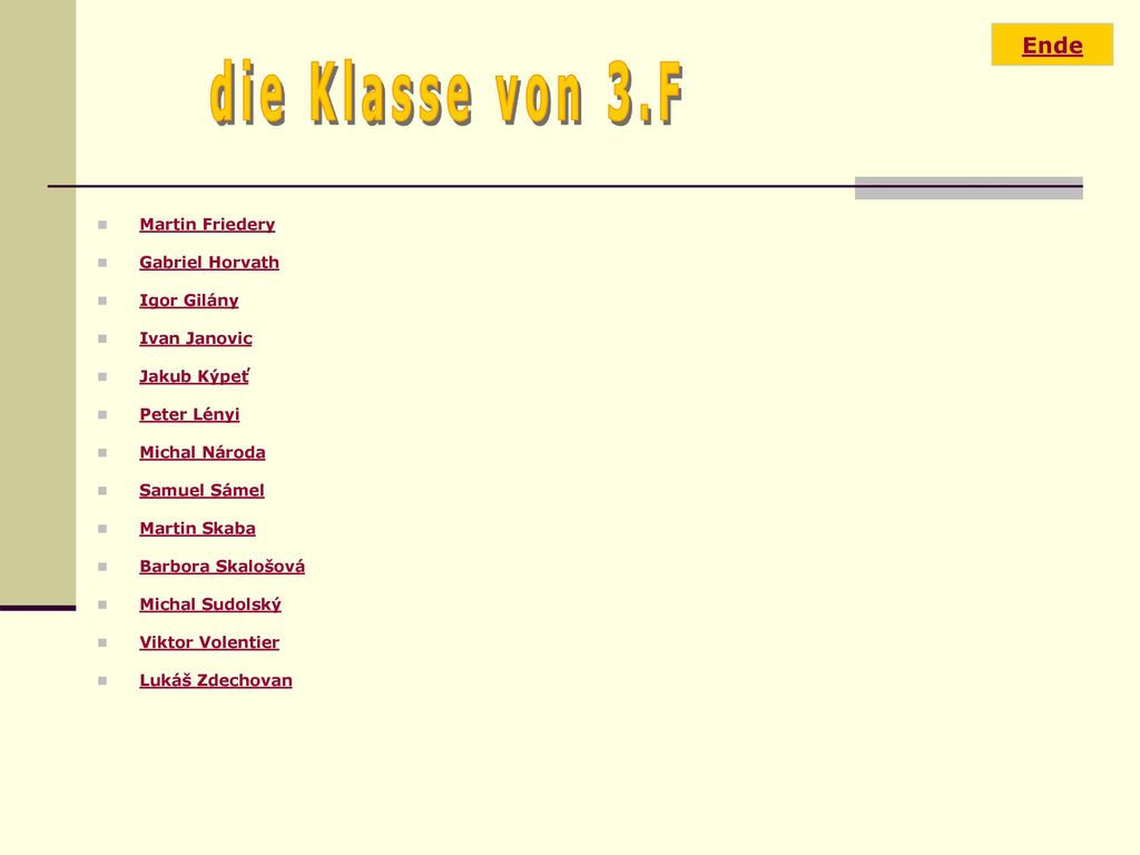 die Klasse von 3.F Ende Martin Friedery Gabriel Horvath Igor Gilány