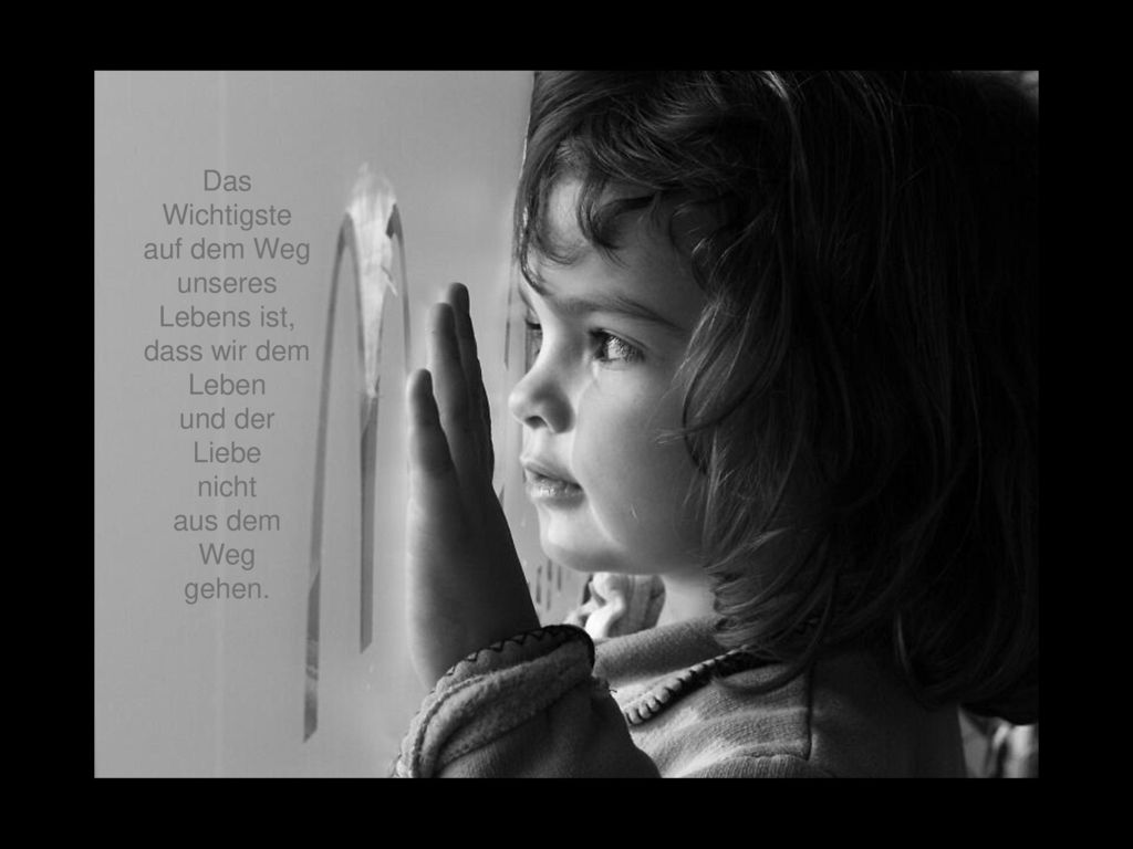 Das Wichtigste auf dem Weg. unseres Lebens ist, dass wir dem Leben. und der Liebe. nicht. aus dem Weg.
