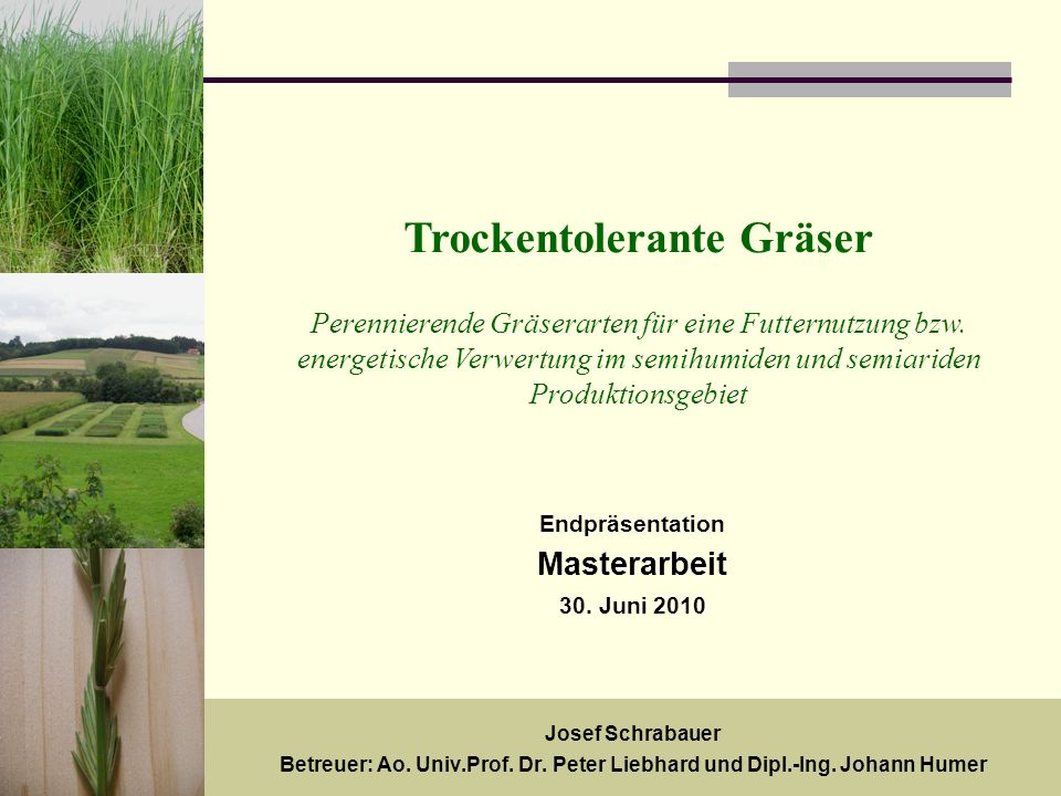 Trockentolerante Gräser Perennierende Gräserarten für eine Futternutzung bzw. energetische Verwertung im semihumiden und semiariden Produktionsgebiet