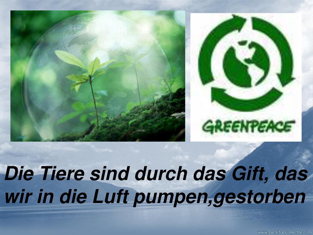 Die Tiere sind durch das Gift, das wir in die Luft pumpen,gestorben