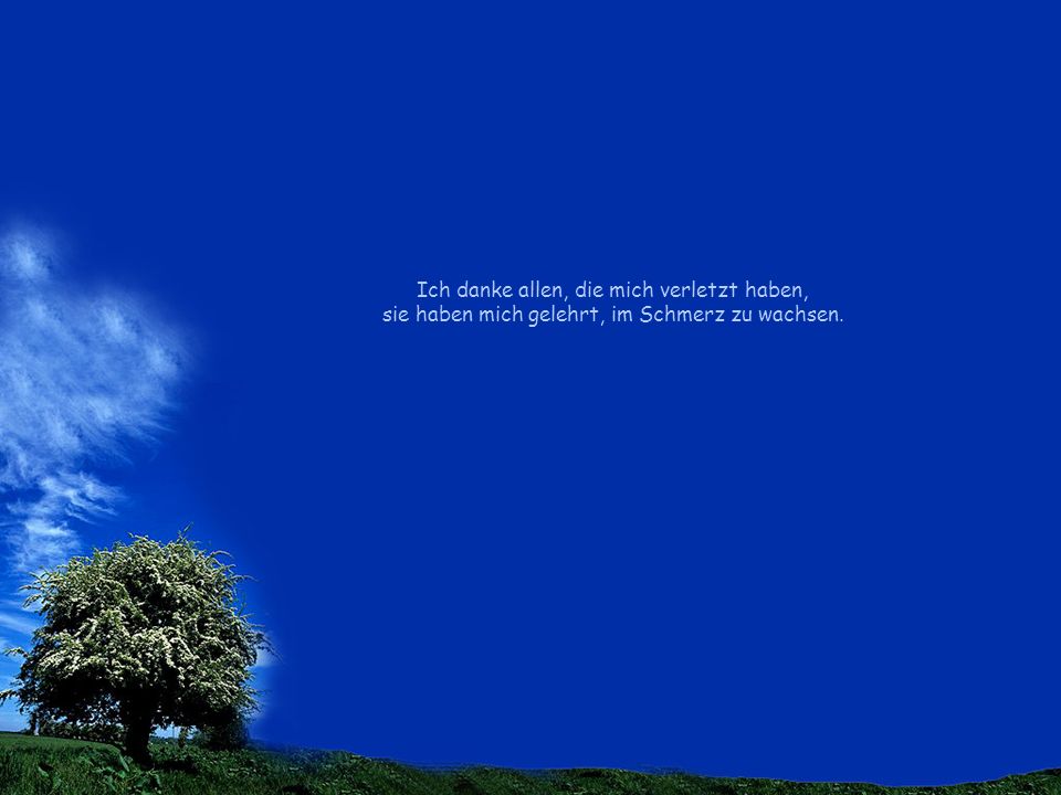 Ich danke allen, die mich verletzt haben, sie haben mich gelehrt, im Schmerz zu wachsen.