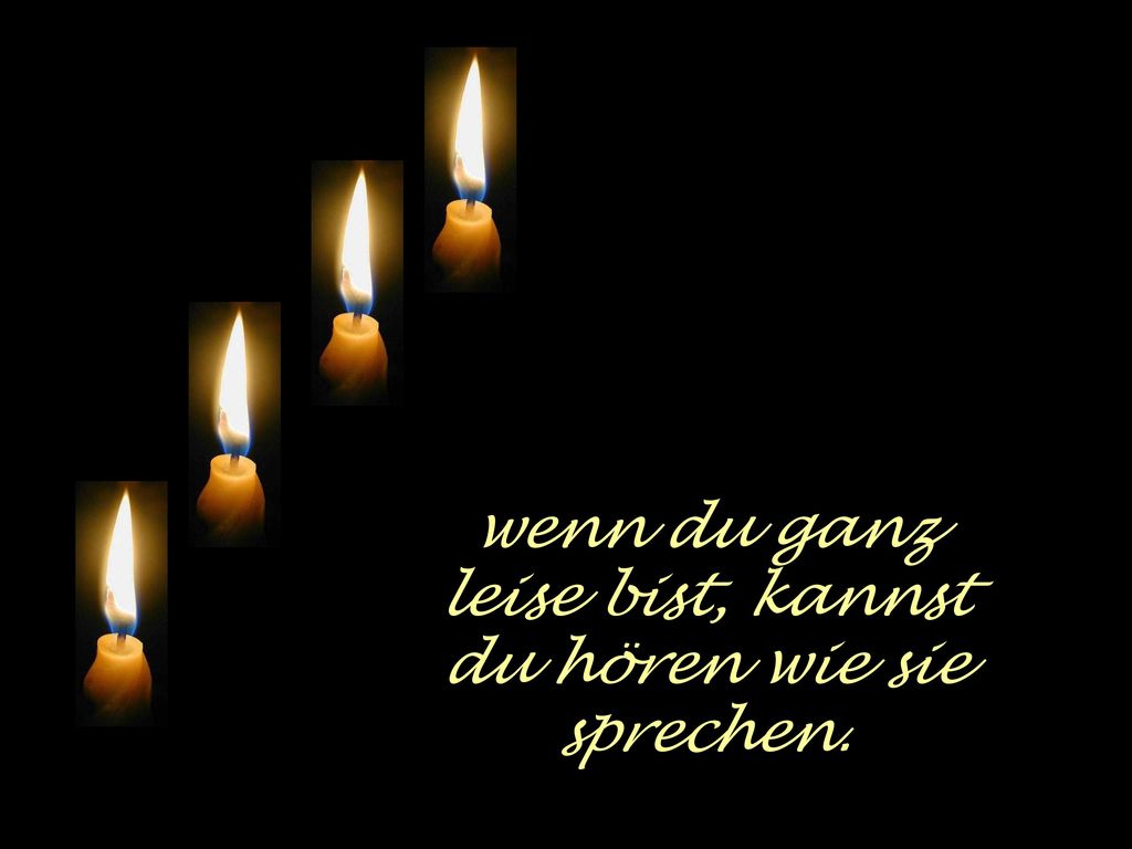 wenn du ganz leise bist, kannst du hören wie sie sprechen.