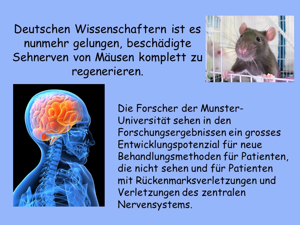 Deutschen Wissenschaftern ist es nunmehr gelungen, beschädigte Sehnerven von Mäusen komplett zu regenerieren.