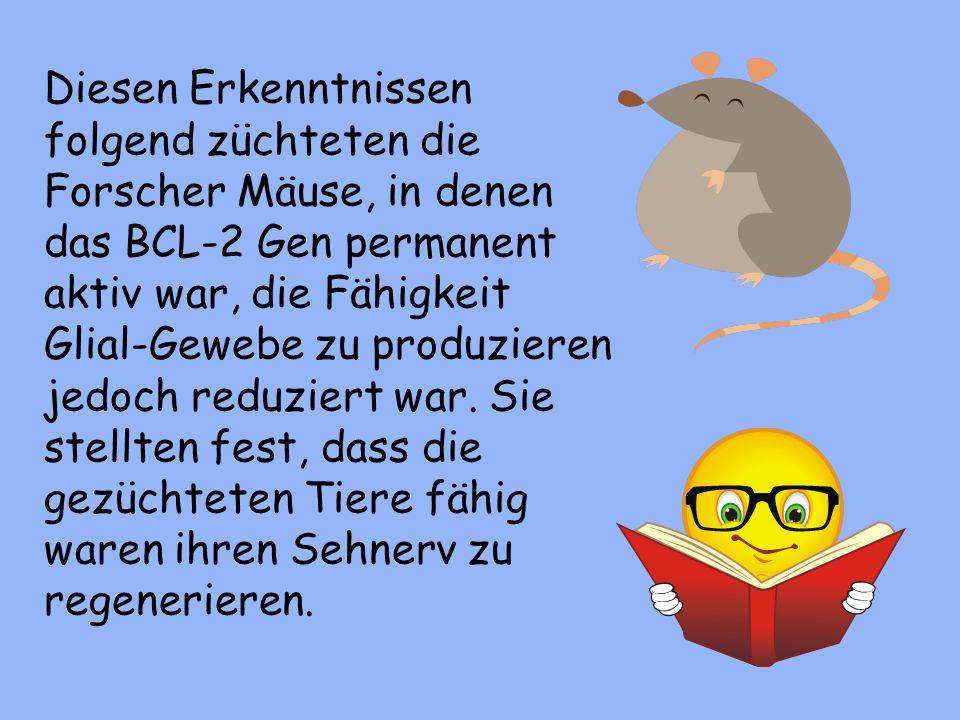 Diesen Erkenntnissen folgend züchteten die Forscher Mäuse, in denen das BCL-2 Gen permanent aktiv war, die Fähigkeit Glial-Gewebe zu produzieren jedoch reduziert war.