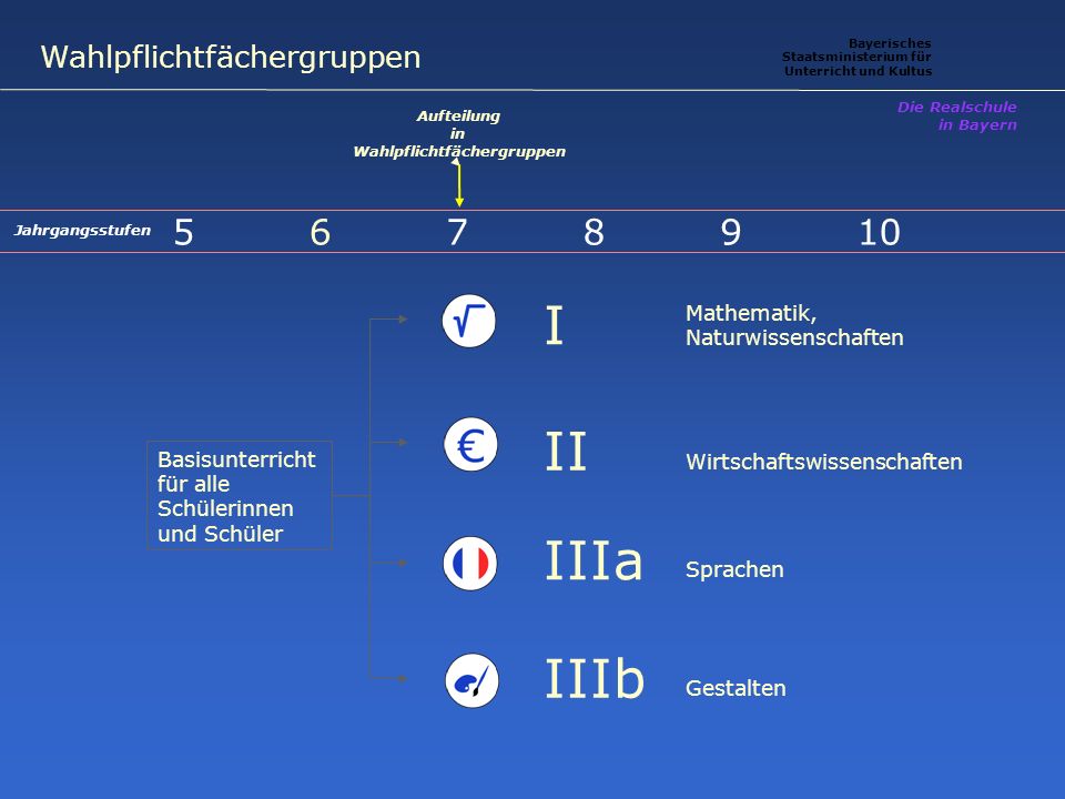 Wahlpflichtfächergruppen