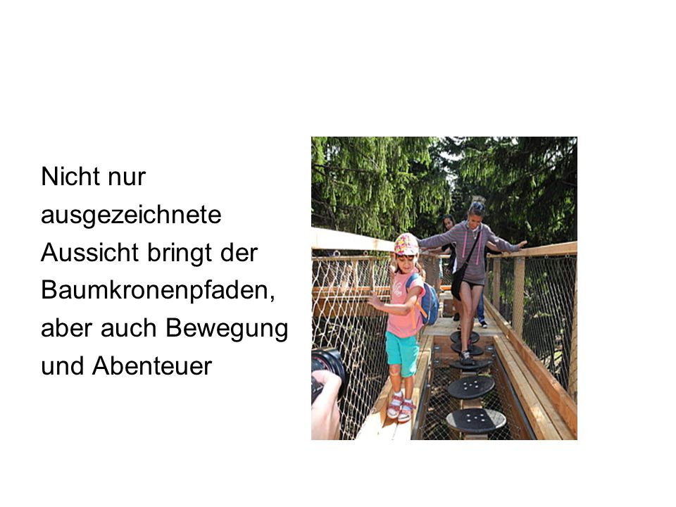 Nicht nur ausgezeichnete Aussicht bringt der Baumkronenpfaden, aber auch Bewegung und Abenteuer
