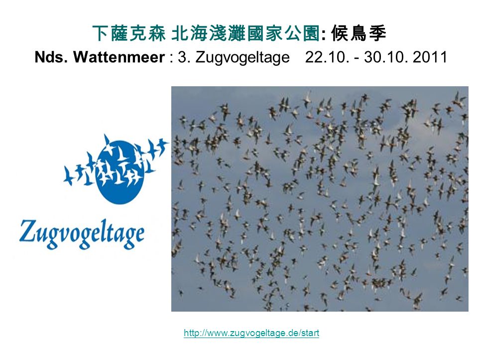 下薩克森 北海淺灘國家公園: 候鳥季 Nds. Wattenmeer : 3. Zugvogeltage