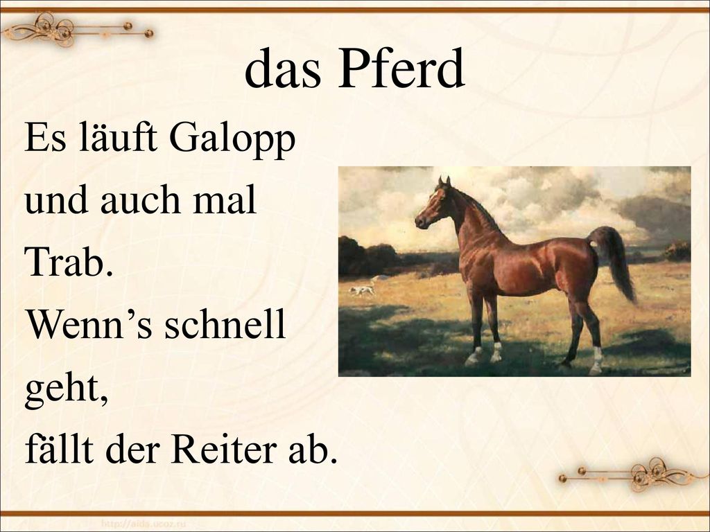 das Pferd Es läuft Galopp und auch mal Trab. Wenn’s schnell geht,