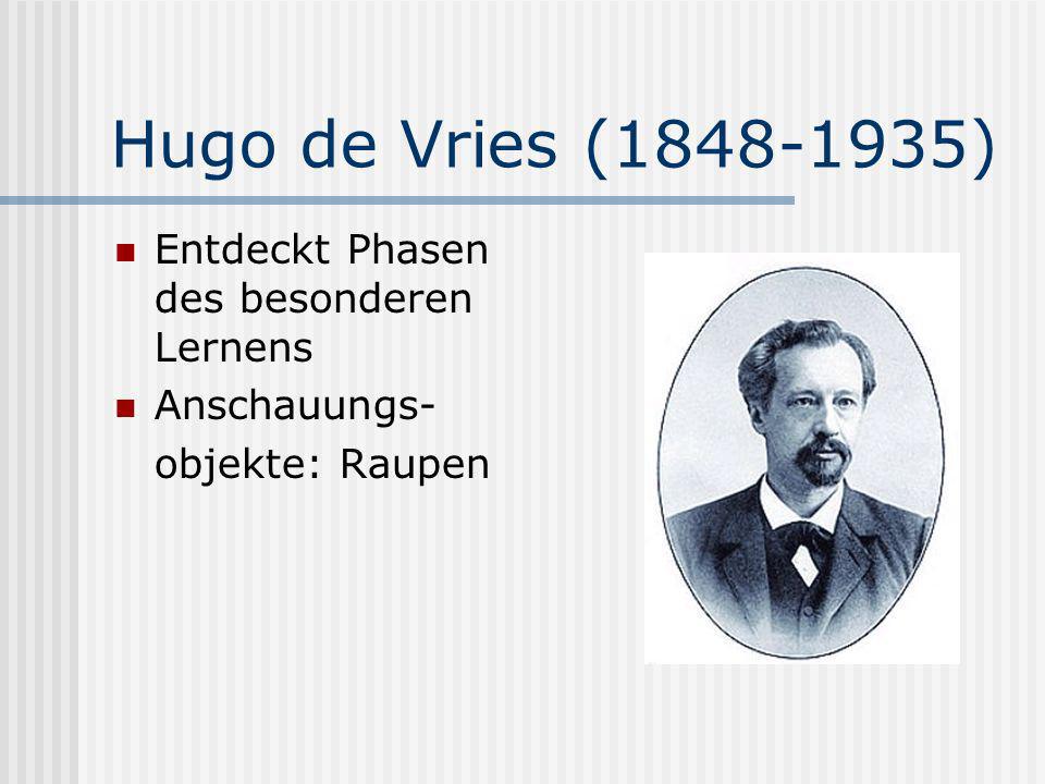 Hugo de Vries ( ) Entdeckt Phasen des besonderen Lernens