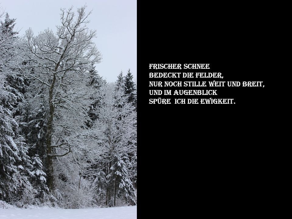 Frischer Schnee Bedeckt die felder, Nur noch stille weit und breit, Und im augenblick.