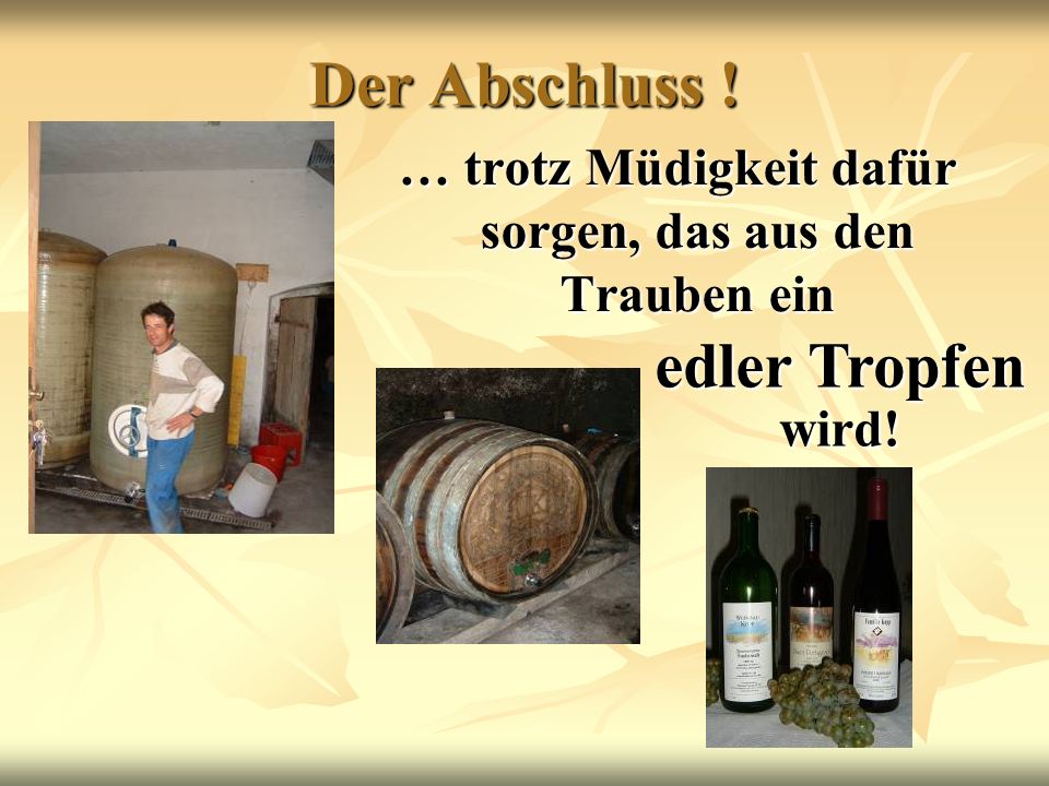 … trotz Müdigkeit dafür sorgen, das aus den Trauben ein