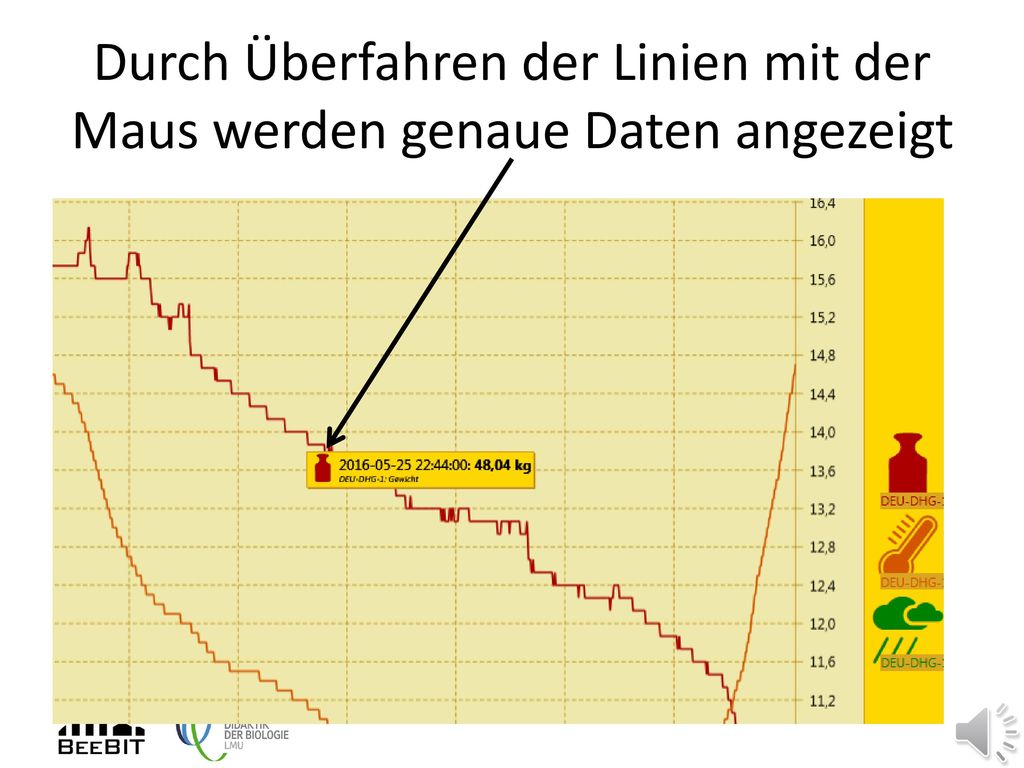 Durch Überfahren der Linien mit der Maus werden genaue Daten angezeigt