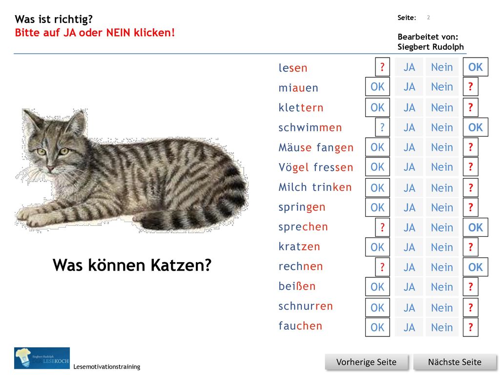 Was können Katzen Was ist richtig Bitte auf JA oder NEIN klicken!