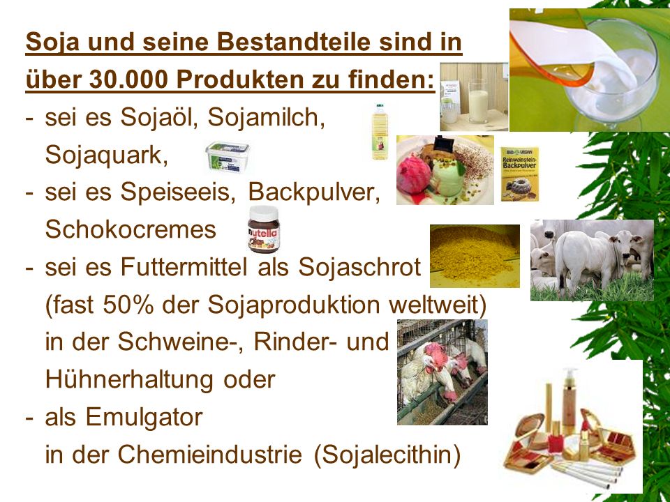 Soja und seine Bestandteile sind in über Produkten zu finden: