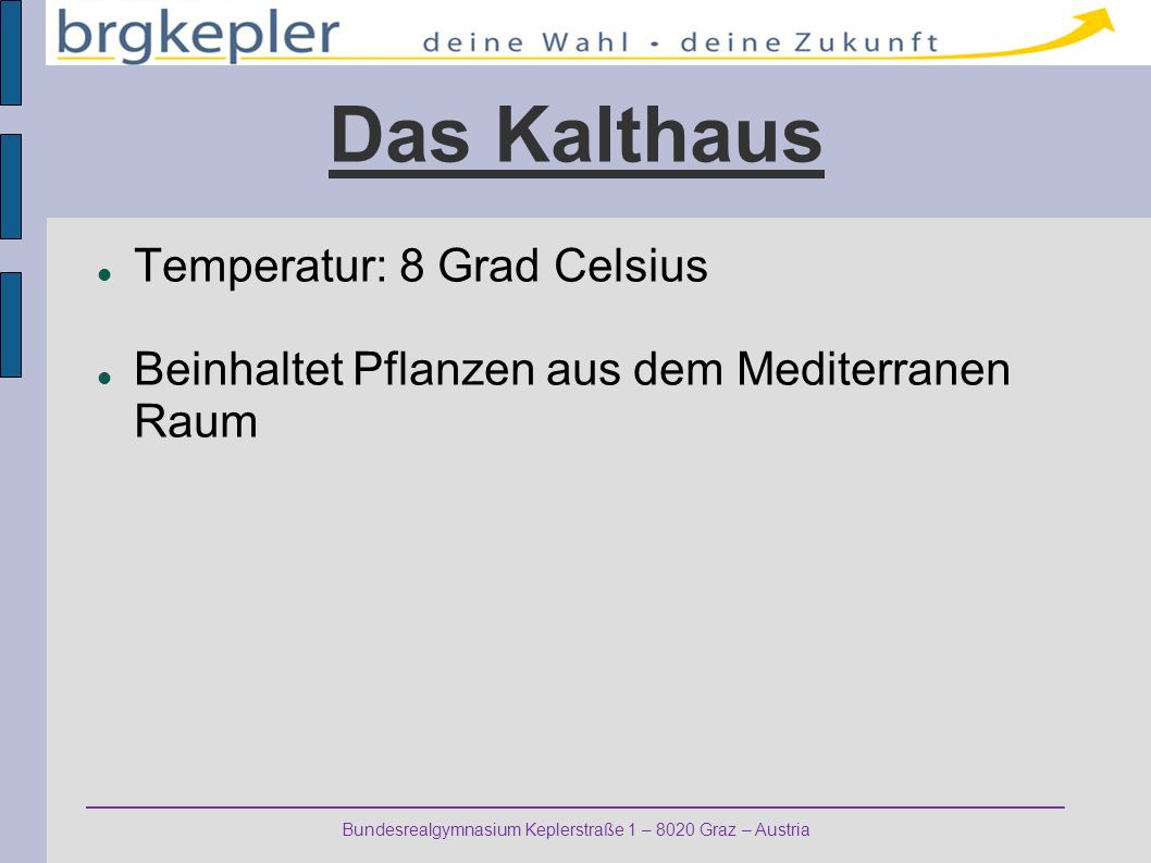 Das Kalthaus Temperatur: 8 Grad Celsius