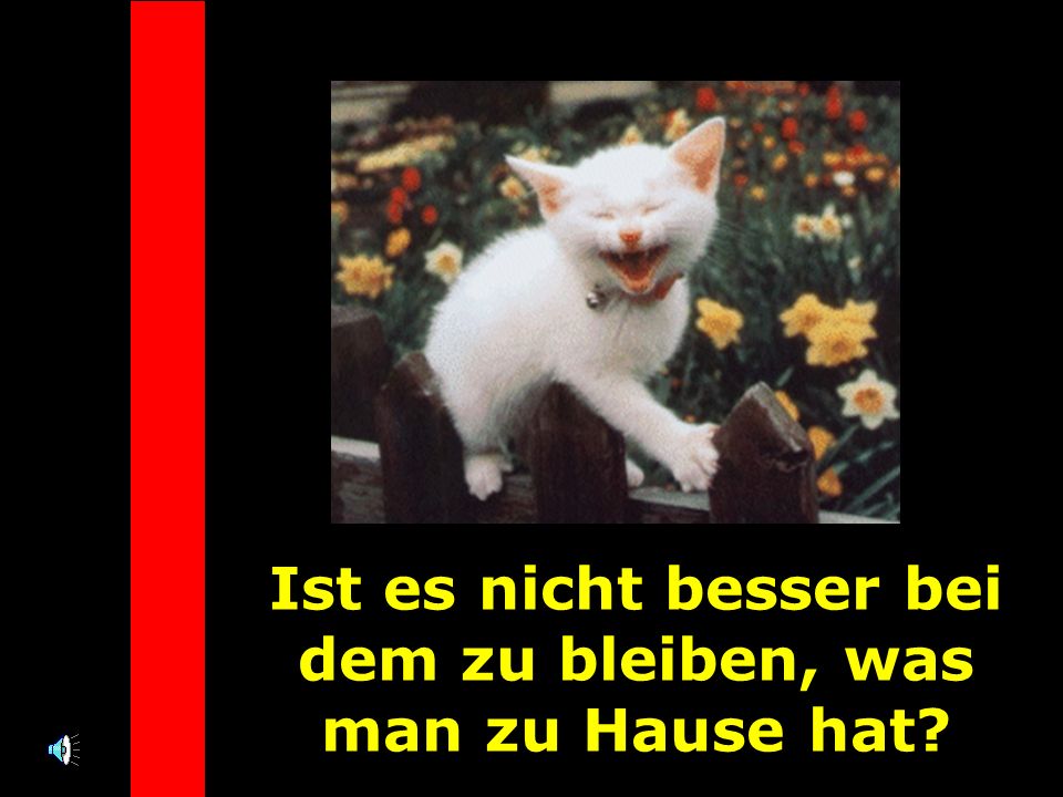 Ist es nicht besser bei dem zu bleiben, was man zu Hause hat