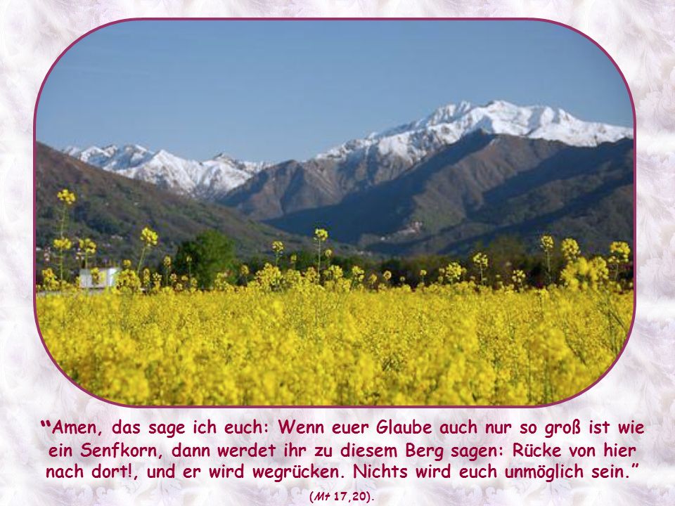 Amen, das sage ich euch: Wenn euer Glaube auch nur so groß ist wie ein Senfkorn, dann werdet ihr zu diesem Berg sagen: Rücke von hier nach dort!, und er wird wegrücken. Nichts wird euch unmöglich sein.