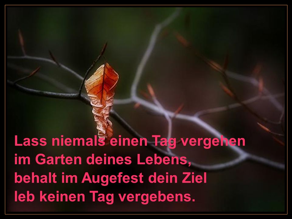 Lass niemals einen Tag vergehen im Garten deines Lebens, behalt im Augefest dein Ziel leb keinen Tag vergebens.