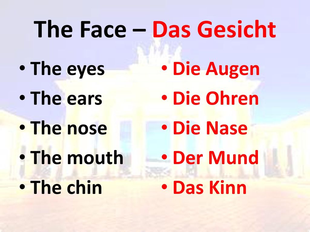 The Face – Das Gesicht The eyes The ears The nose The mouth The chin