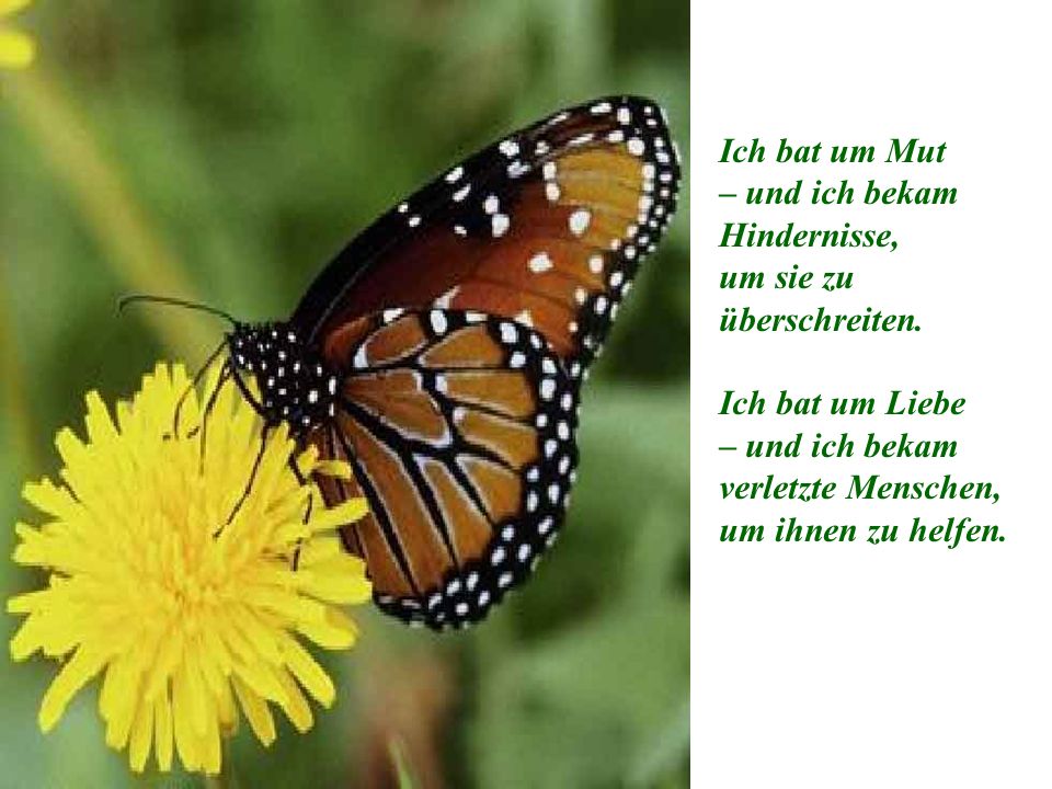 Ich bat um Mut – und ich bekam Hindernisse, um sie zu überschreiten.