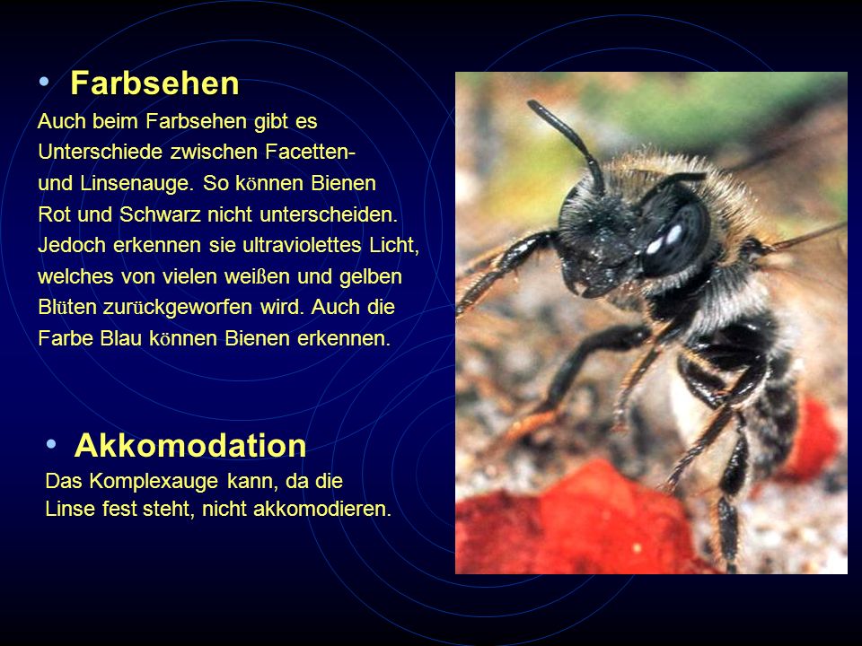 Farbsehen Akkomodation Auch beim Farbsehen gibt es