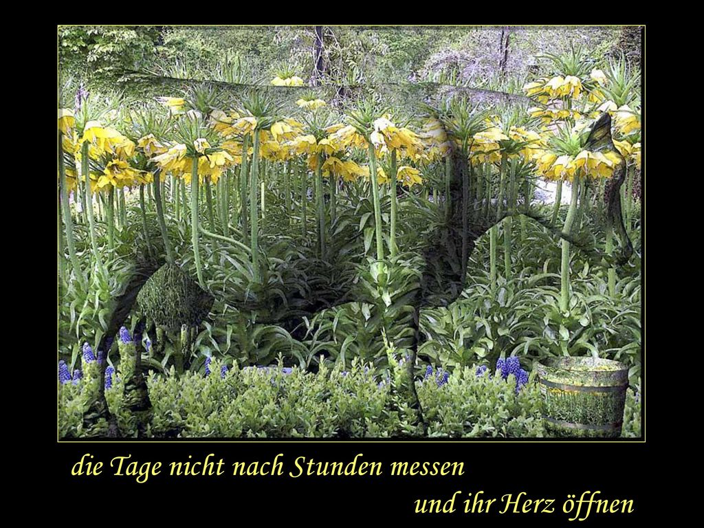 die Tage nicht nach Stunden messen