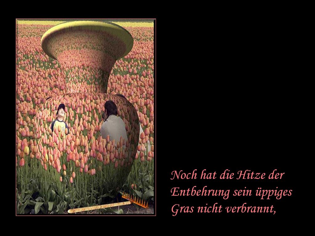 Noch hat die Hitze der Entbehrung sein üppiges Gras nicht verbrannt,
