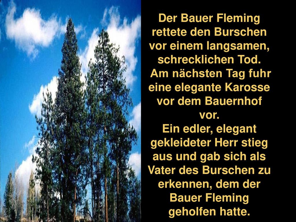 Am nächsten Tag fuhr eine elegante Karosse vor dem Bauernhof vor.