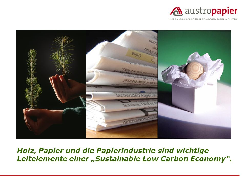 Holz, Papier und die Papierindustrie sind wichtige Leitelemente einer „Sustainable Low Carbon Economy .