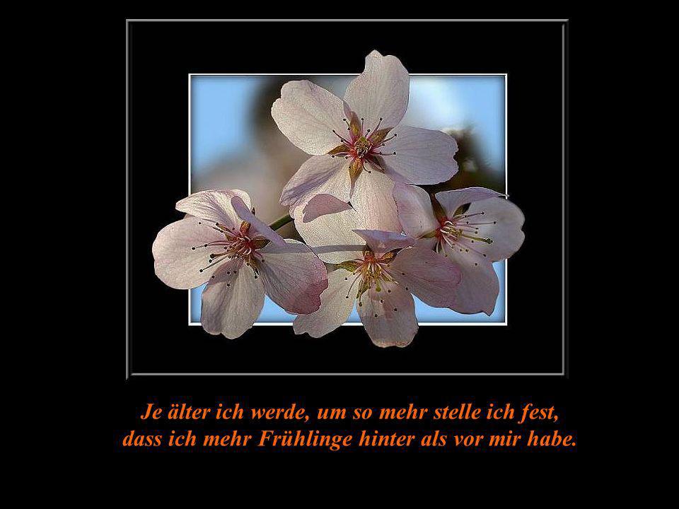 Je älter ich werde, um so mehr stelle ich fest, dass ich mehr Frühlinge hinter als vor mir habe.