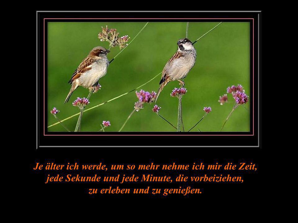 Je älter ich werde, um so mehr nehme ich mir die Zeit, jede Sekunde und jede Minute, die vorbeiziehen, zu erleben und zu genießen.