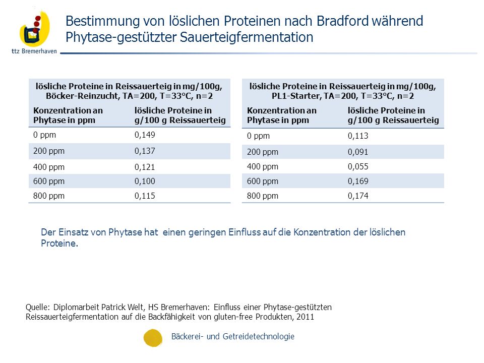 Bestimmung von löslichen Proteinen nach Bradford während Phytase-gestützter Sauerteigfermentation