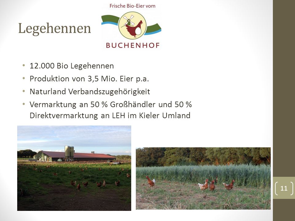 Legehennen Bio Legehennen Produktion von 3,5 Mio. Eier p.a.