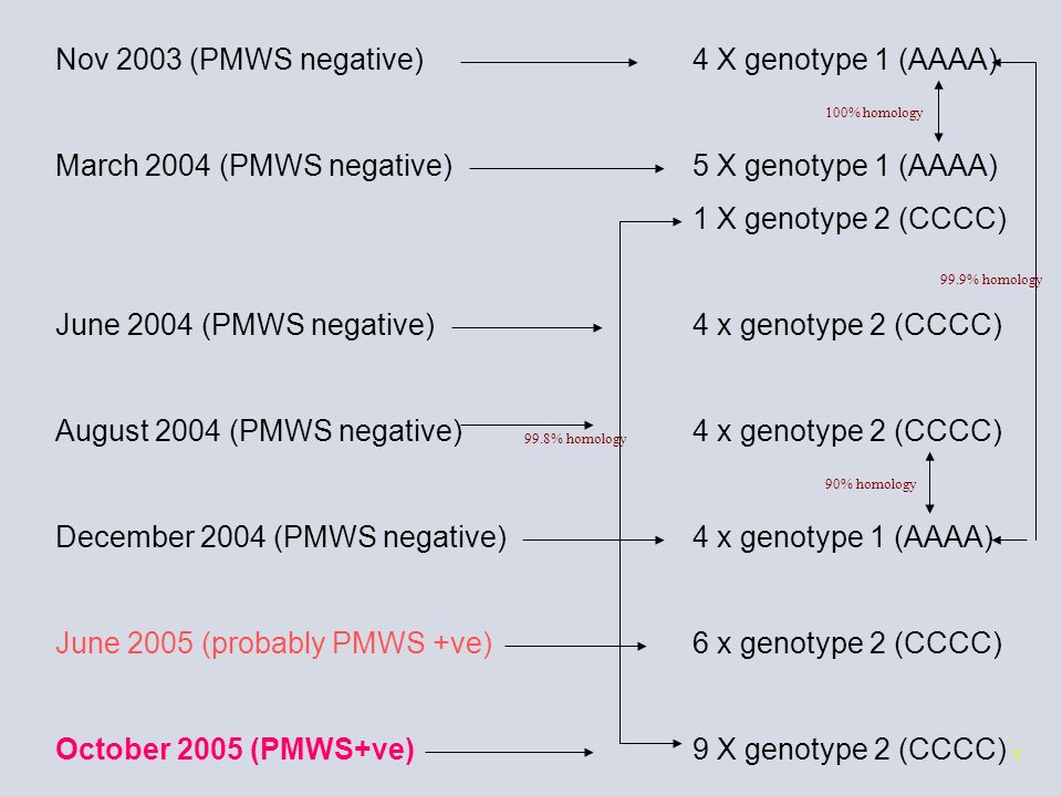 Nov 2003 (PMWS negative) 4 X genotype 1 (AAAA)
