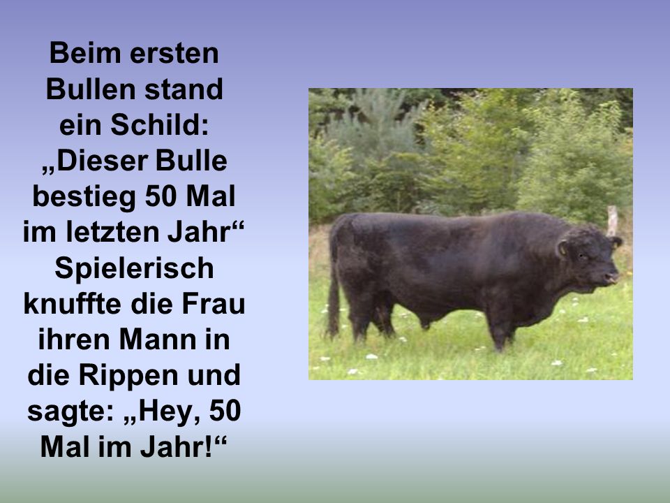 Beim ersten Bullen stand ein Schild: „Dieser Bulle bestieg 50 Mal im letzten Jahr Spielerisch knuffte die Frau ihren Mann in die Rippen und sagte: „Hey, 50 Mal im Jahr!