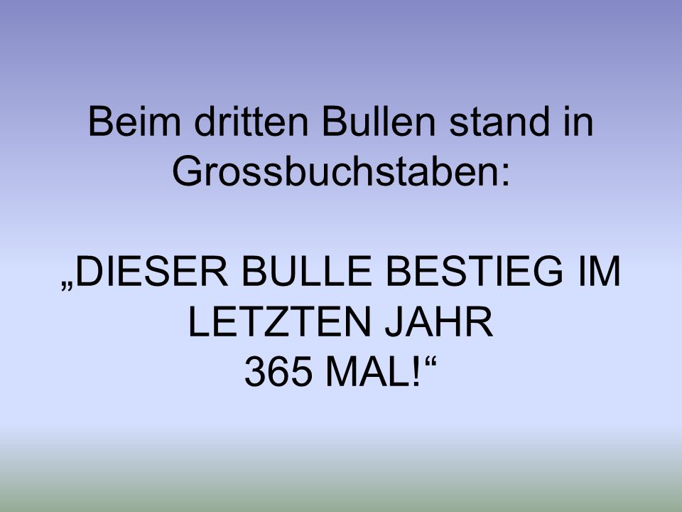 Beim dritten Bullen stand in Grossbuchstaben: „DIESER BULLE BESTIEG IM LETZTEN JAHR 365 MAL!