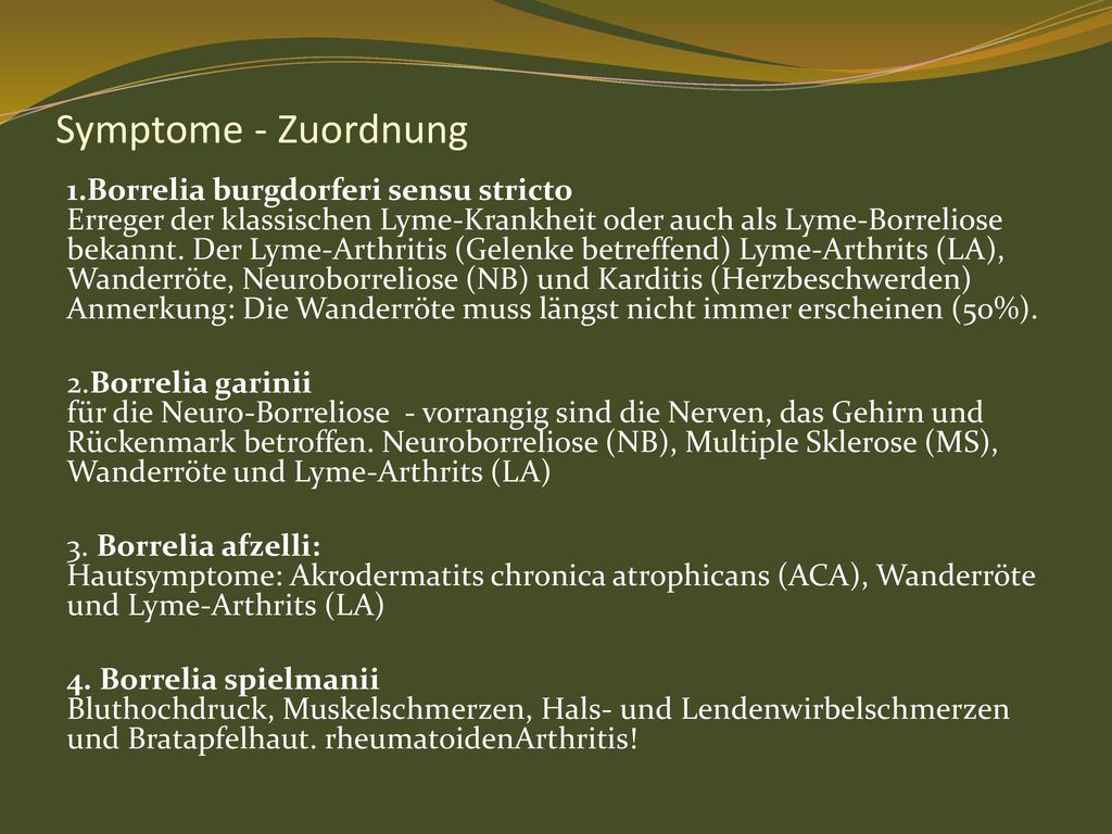 Symptome - Zuordnung 1.Borrelia burgdorferi sensu stricto