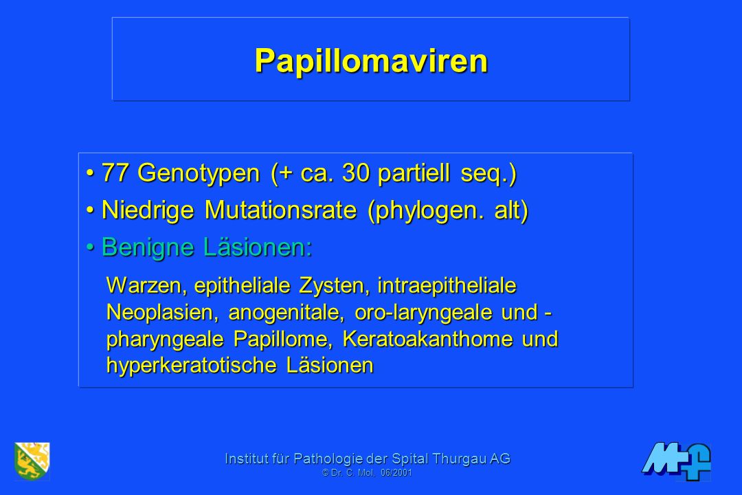 Papillomaviren • 77 Genotypen (+ ca. 30 partiell seq.)