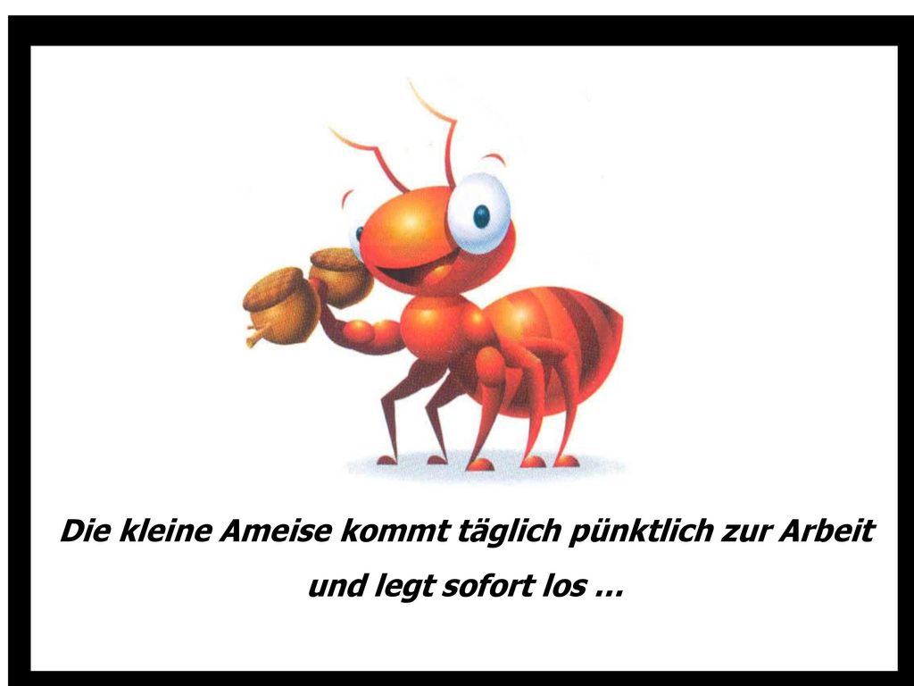 Die kleine Ameise kommt täglich pünktlich zur Arbeit und legt sofort los …
