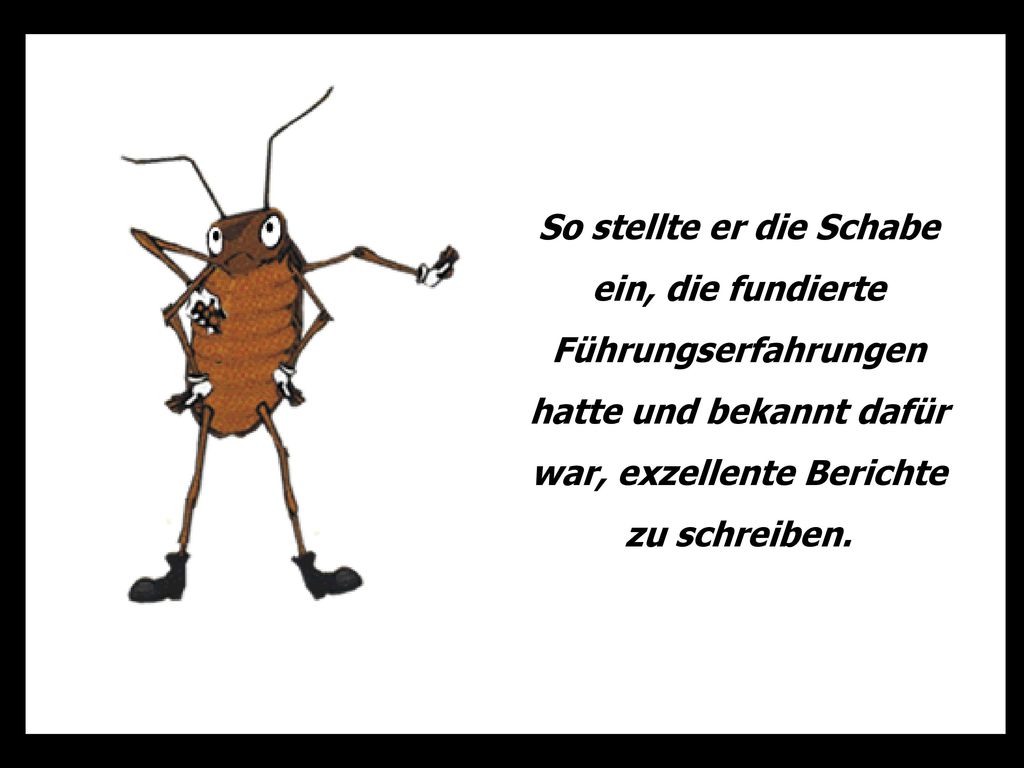 So stellte er die Schabe ein, die fundierte Führungserfahrungen hatte und bekannt dafür war, exzellente Berichte zu schreiben.