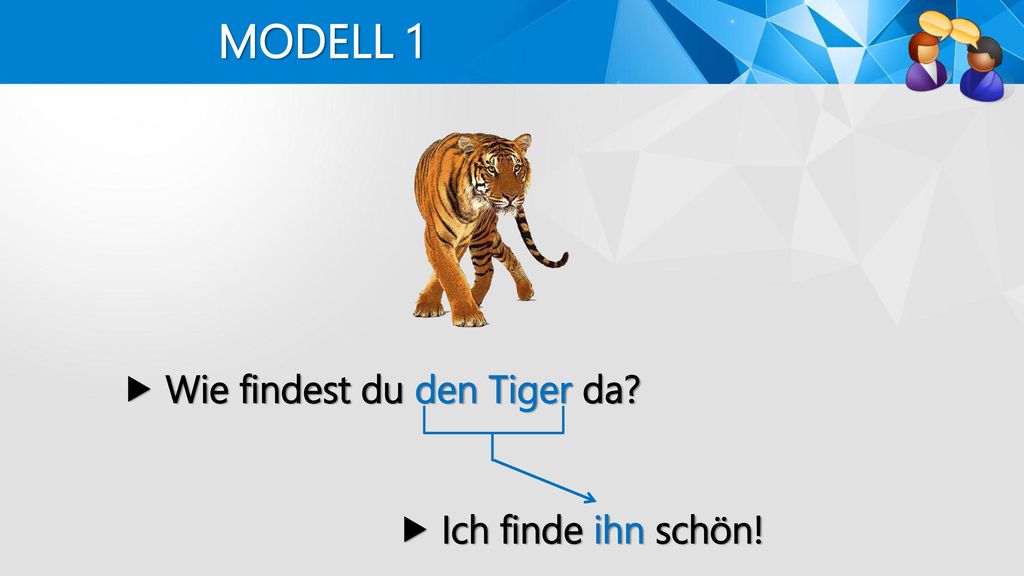 MODELL 1  Wie findest du den Tiger da  Ich finde ihn schön!