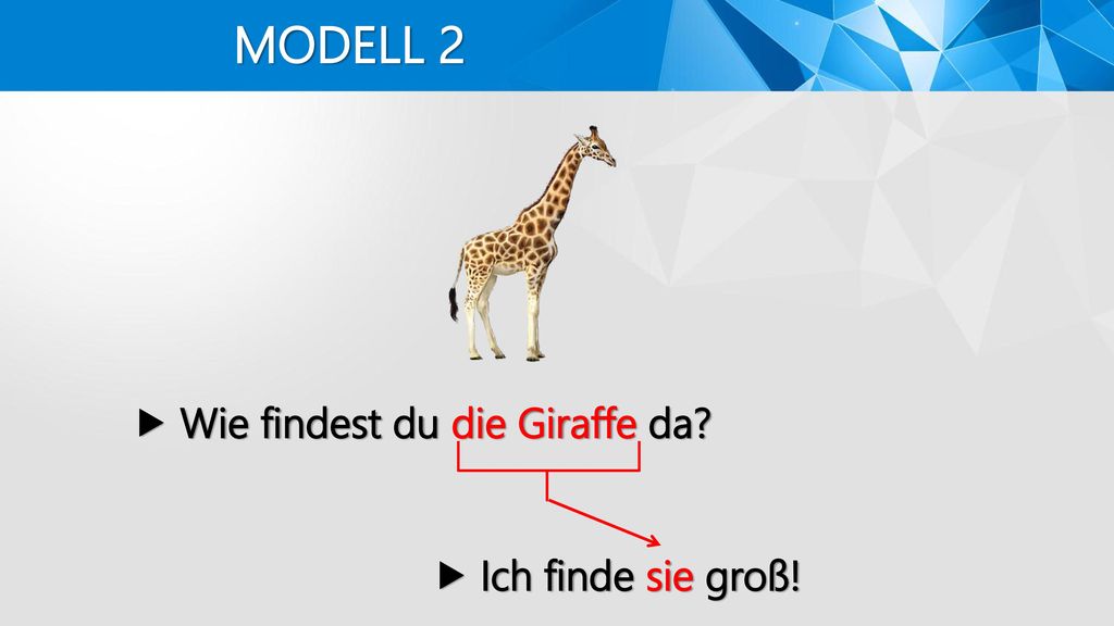 MODELL 2  Wie findest du die Giraffe da  Ich finde sie groß!