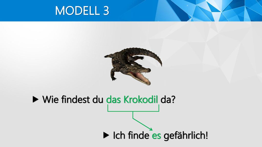 MODELL 3  Wie findest du das Krokodil da  Ich finde es gefährlich!