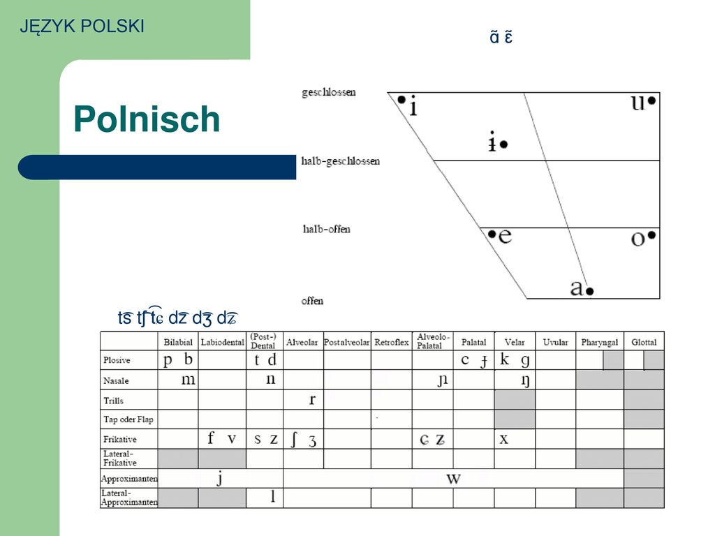 JĘZYK POLSKI ɑ̃ ɛ̃ Polnisch t͡s t͡ʃ t͡ɕ d͡z d͡ʒ d͡͡͡ʑ